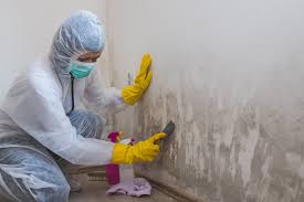 Asbestos and Lead Testing During Mold Inspection in Southeast Arcadia, FL